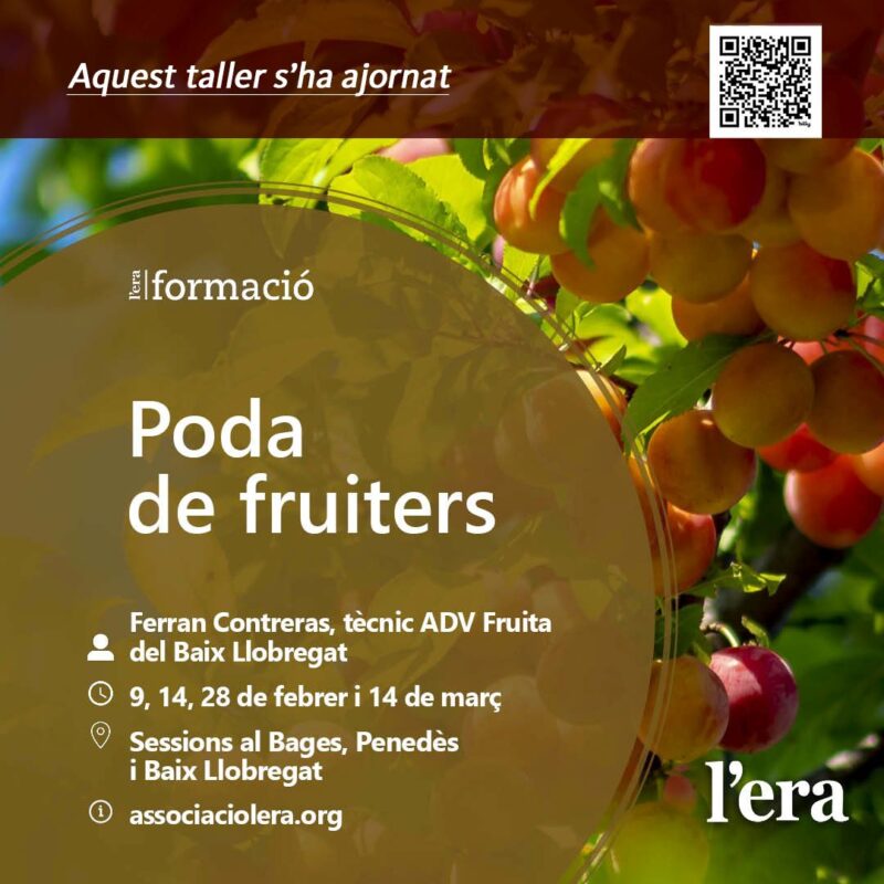 Curs Poda de fruiters