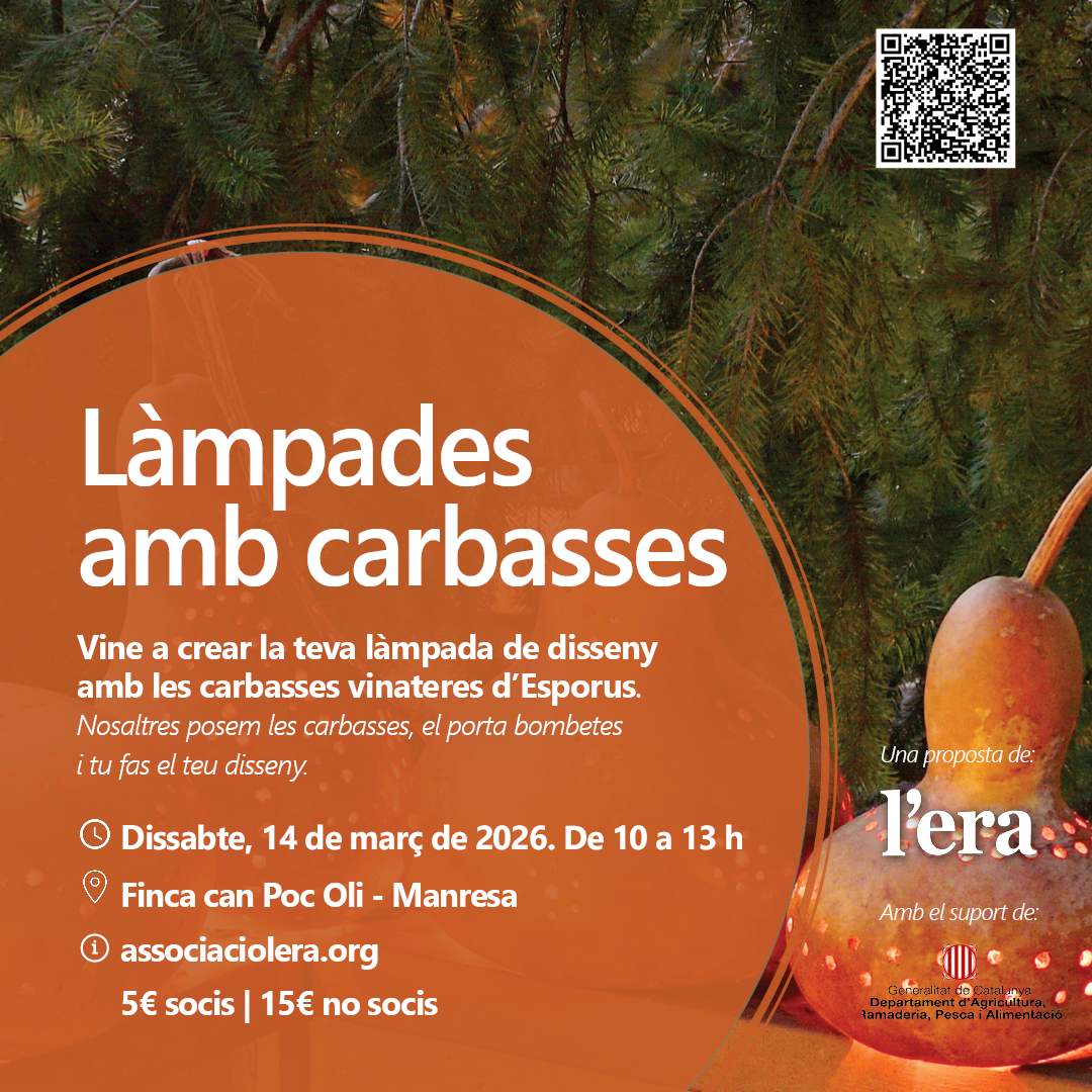 Taller de làmpada de carbassa