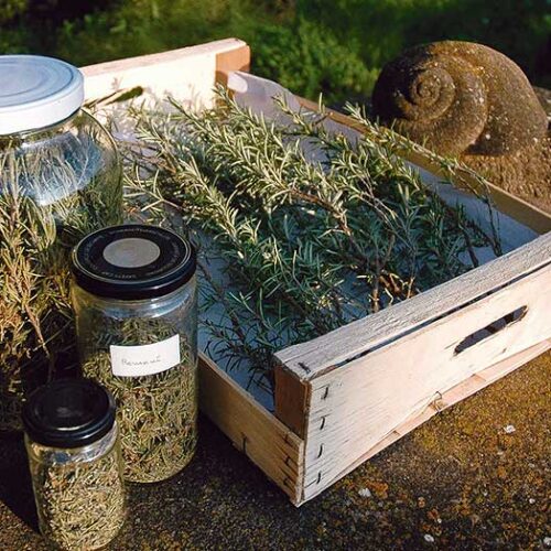 aromàtiques