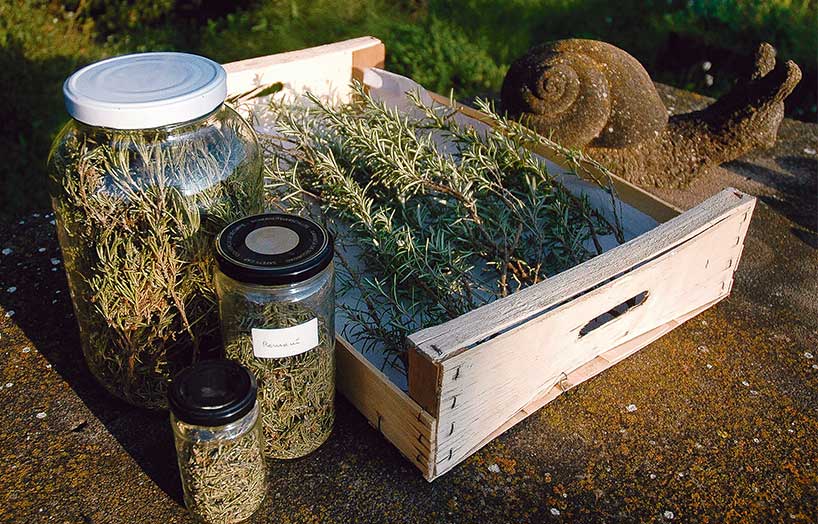 aromàtiques