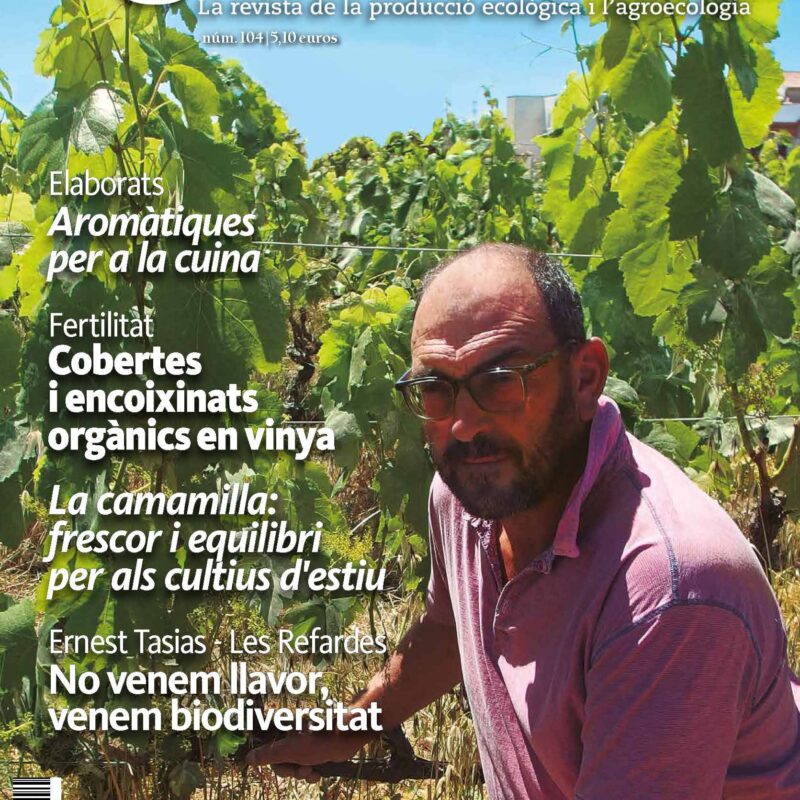 portada_agrocultura_104