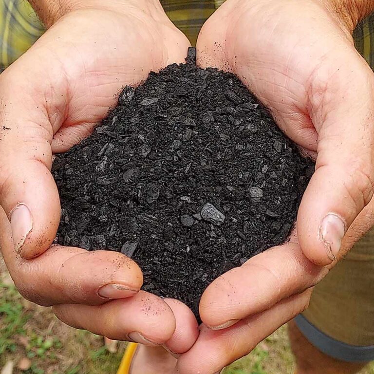 biochar-biocarbó