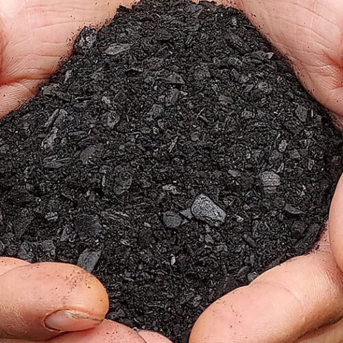 biochar