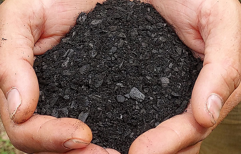 biochar
