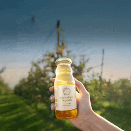 bàner aliments eco