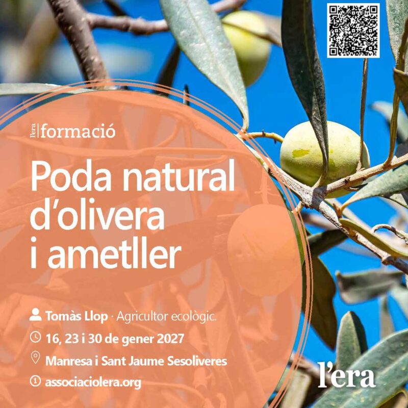 cartell-curs-poda-olivera-2027