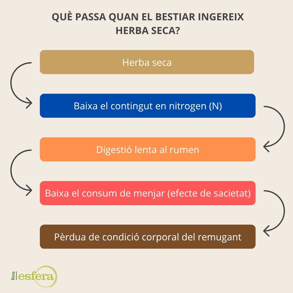 infografia conseqüències ingesta herba seca